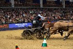 Extreme - 00659